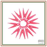 گیره لباس پلاستیکی (12 عددی) کد 11