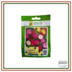 بذر گل لاله عباسی الوان- 12 گرم