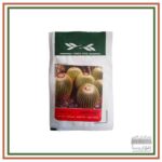 بذر گیاه اچینو کاکتوس- 5 گرم