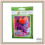 بذر گل حنا الوان- 5 گرم