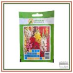 بذر گل میمون الوان- 5 گرم